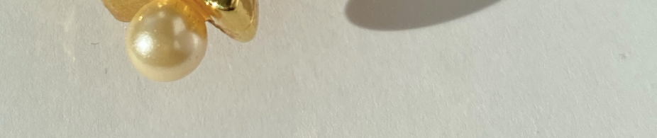 style RSVP image pt 2 - copyright Logan Nakyanzi Pollard, do not use