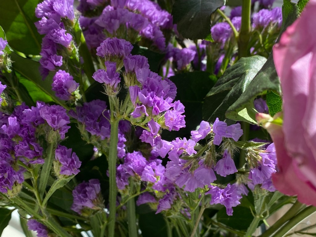 copyright Logan Nakyanzi Pollard. all rights reserved. Do not use.