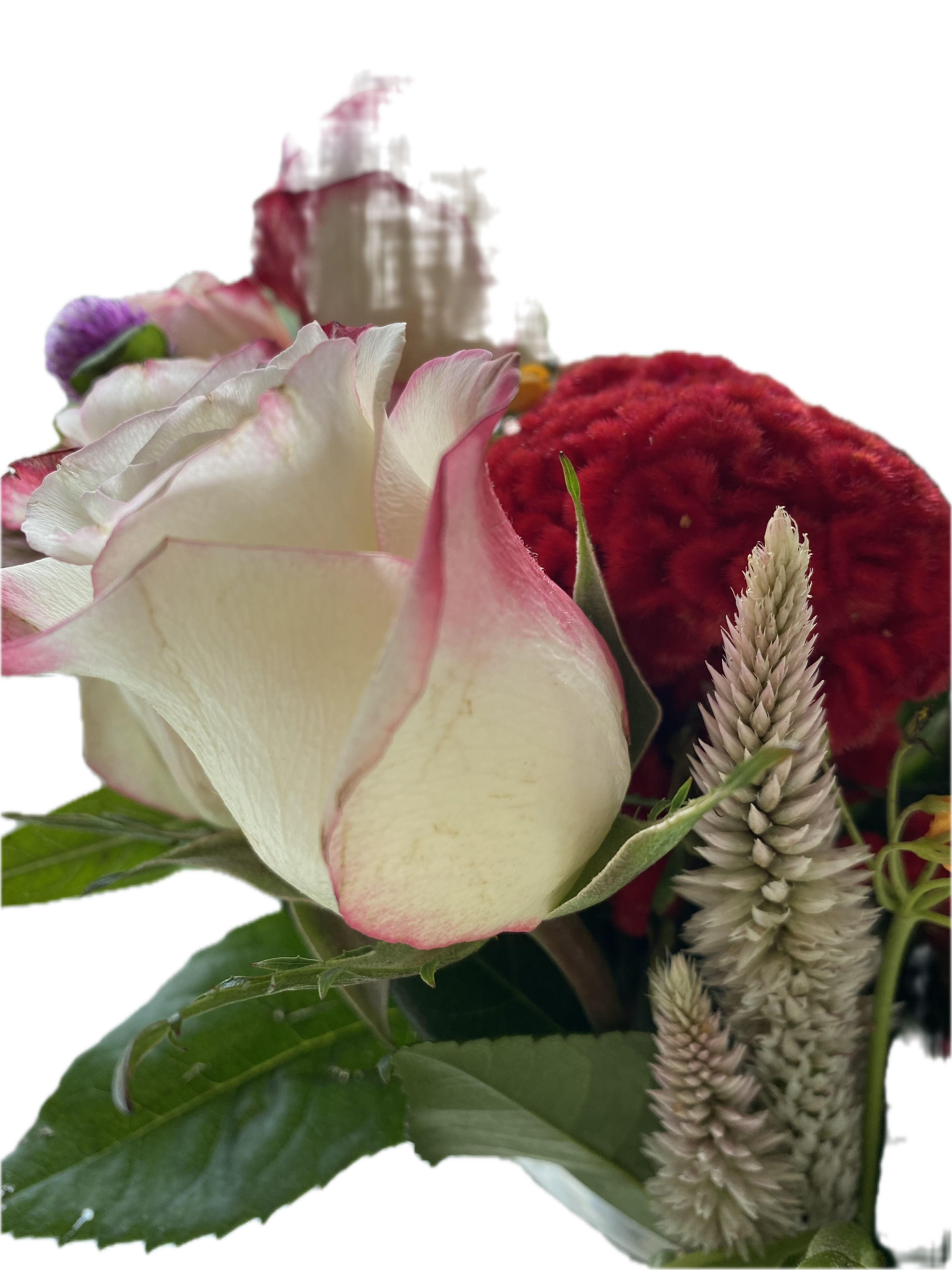 copyright Logan Nakyanzi Pollard. all rights reserved. Do not use.